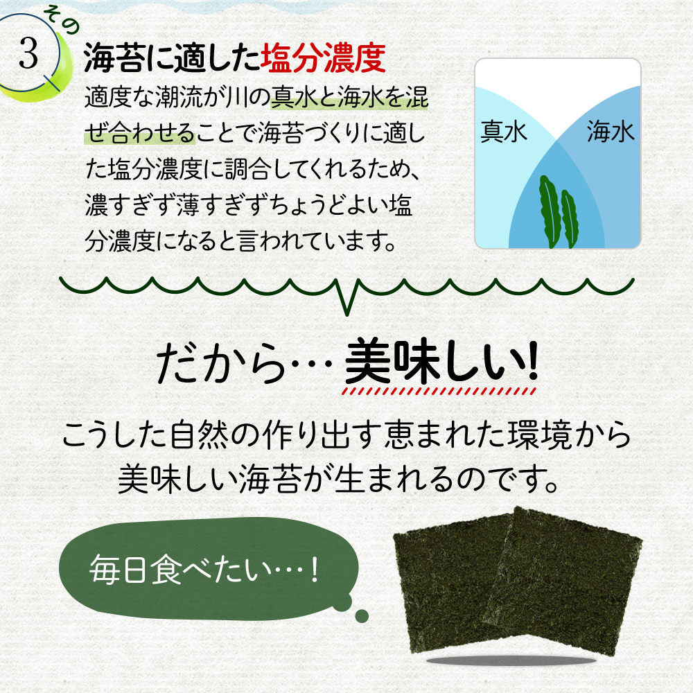 訳あり 海苔 有明産 焼き海苔 全型40枚