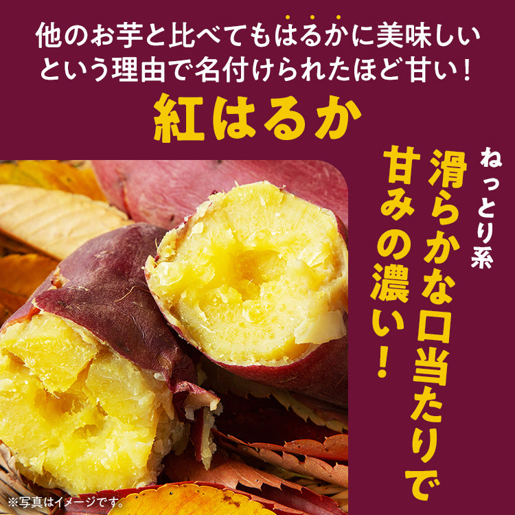 訳あり 熟成 紅はるか 5kg さつまいも 芋 サツマイモ 土付き サイズ色々 サイズ不揃い 九州産 焼き芋 やきいも 甘い デザート スイートポテト 生芋 おやつ デザート 野菜 いも