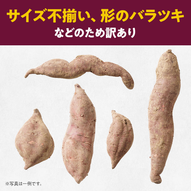 訳あり 熟成 紅はるか 5kg さつまいも 芋 サツマイモ 土付き サイズ色々 サイズ不揃い 九州産 焼き芋 やきいも 甘い デザート スイートポテト 生芋 おやつ デザート 野菜 いも