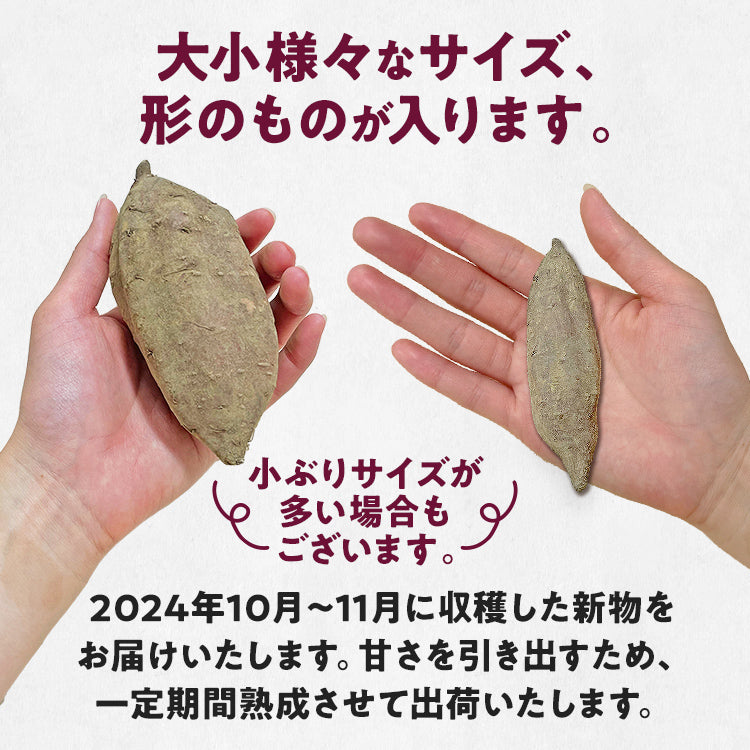 訳あり 熟成 紅はるか 5kg さつまいも 芋 サツマイモ 土付き サイズ色々 サイズ不揃い 九州産 焼き芋 やきいも 甘い デザート スイートポテト 生芋 おやつ デザート 野菜 いも