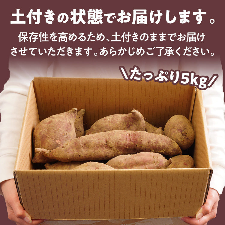 訳あり 熟成 紅はるか 5kg さつまいも 芋 サツマイモ 土付き サイズ色々 サイズ不揃い 九州産 焼き芋 やきいも 甘い デザート スイートポテト 生芋 おやつ デザート 野菜 いも