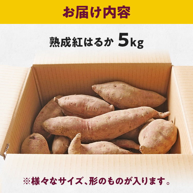 訳あり 熟成 紅はるか 5kg さつまいも 芋 サツマイモ 土付き サイズ色々 サイズ不揃い 九州産 焼き芋 やきいも 甘い デザート スイートポテト 生芋 おやつ デザート 野菜 いも