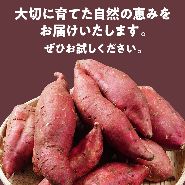 訳あり 熟成 紅はるか 5kg さつまいも 芋 サツマイモ 土付き サイズ色々 サイズ不揃い 九州産 焼き芋 やきいも 甘い デザート スイートポテト 生芋 おやつ デザート 野菜 いも