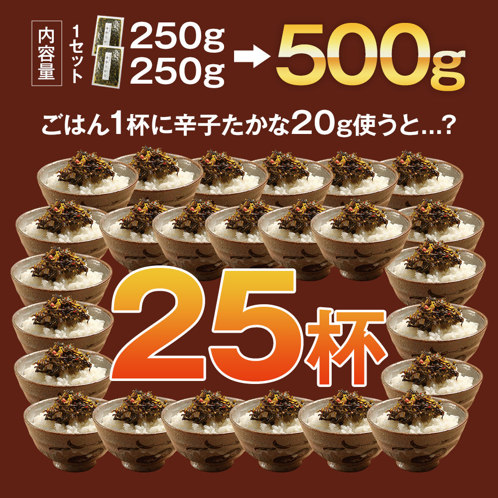 辛子たかな【2袋セット】3種から選べる たかな 高菜