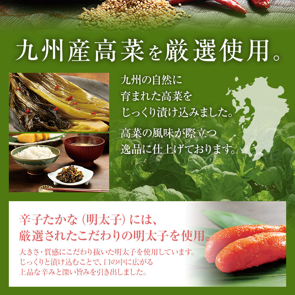 辛子たかな【2袋セット】3種から選べる たかな 高菜