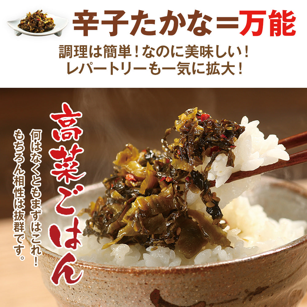 辛子たかな【2袋セット】3種から選べる たかな 高菜