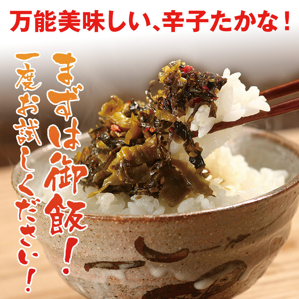辛子たかな【2袋セット】3種から選べる たかな 高菜