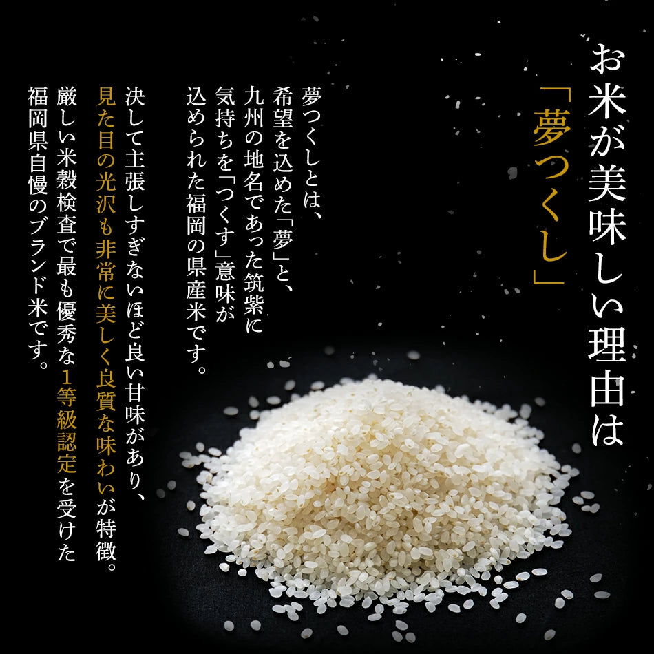 笹おこわ 6種12個セット 中元 敬老の日 メッセージカード無料 九州産 個包装 レンジ 簡単 手軽