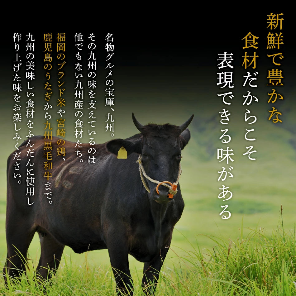 笹おこわ 6種12個セット 中元 敬老の日 メッセージカード無料 九州産 個包装 レンジ 簡単 手軽