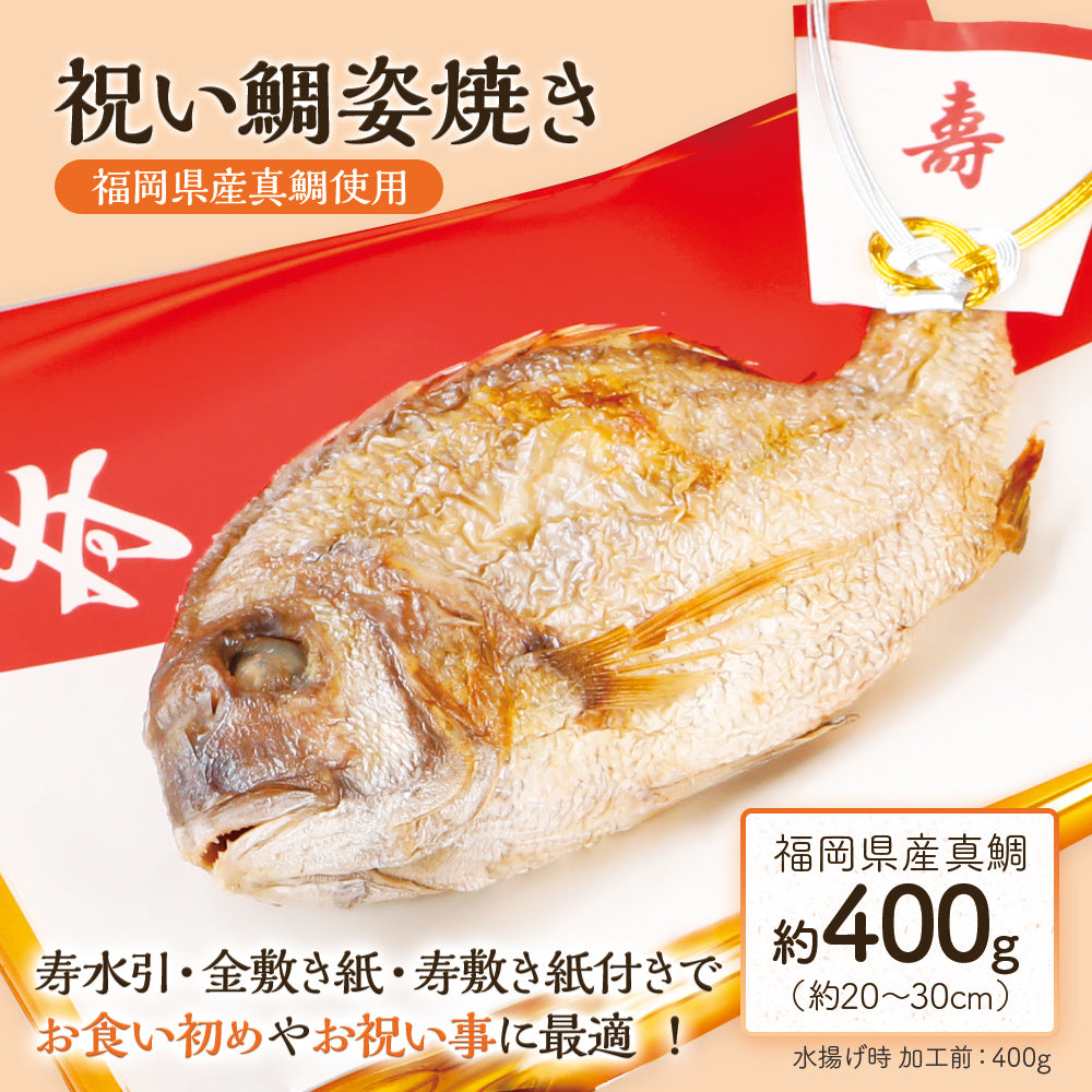 祝い鯛(100日祝い・ももかのいわい) 約400g おくいぞめ お食い初め 送料無料 ウェディングギフト