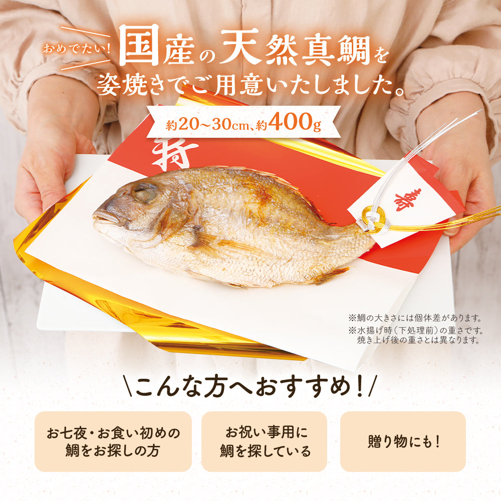 祝い鯛(100日祝い・ももかのいわい) 約400g おくいぞめ お食い初め 送料無料 ウェディングギフト