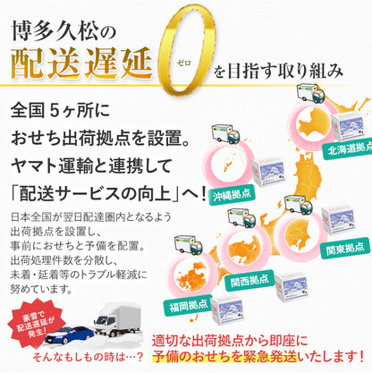 本格定番和洋折衷おせち「六本松」
