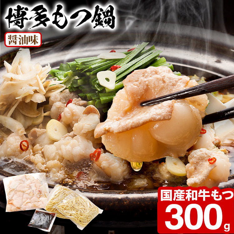 国産牛 博多牛もつ鍋（2～3人前）