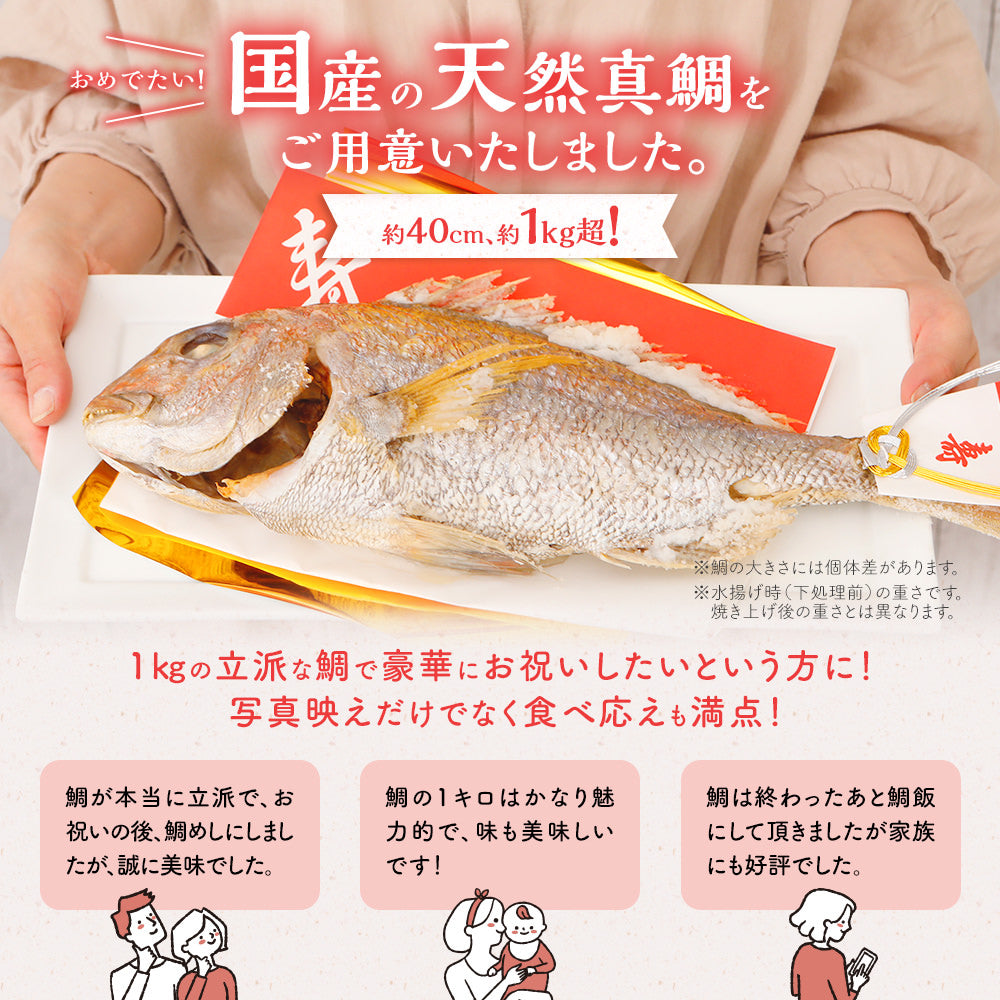 お食い初め セット 料理 (大) 【焼鯛1kg】 熨斗アート付